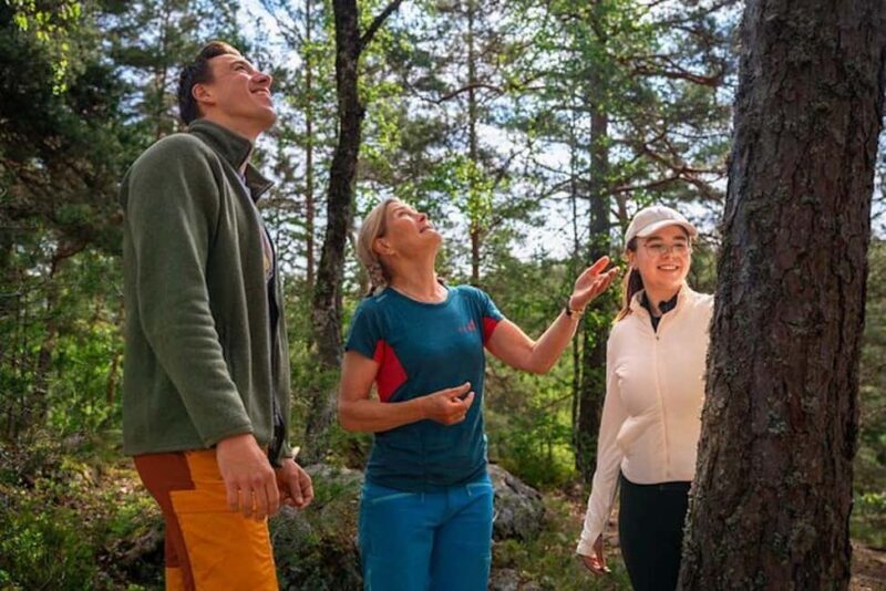 Oslo: Forest Hike with Guide & Husky - What’s Included and What to Bring