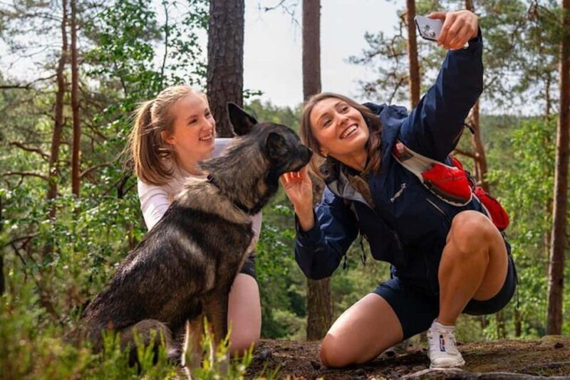 Oslo: Forest Hike with Guide & Husky - Final Thoughts: Is It Worth It?