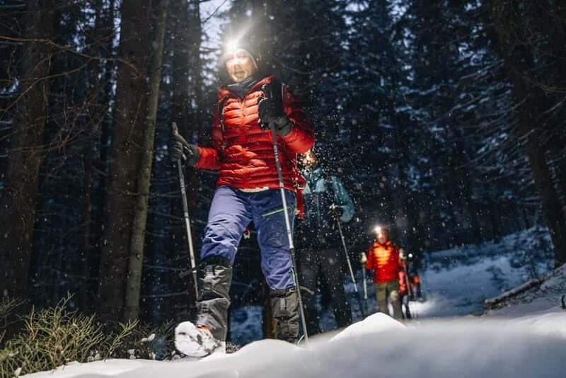 Oslo Forest: Private Mystery Nocturne Walk with Headlamps - What to Expect from the Oslo Forest Nocturne Walk