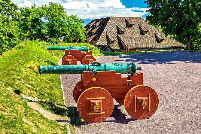 Oslo Highlights and Polar Ship Fram Museum - Who Is This Tour Best For?