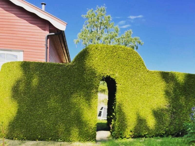 Oslo Island Walks: Island Hopping Tour - Final Thoughts