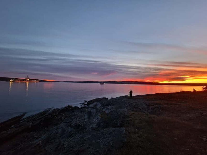 Oslo: Malmøya Island Guided Hike with Waffle and Drink - Key Points