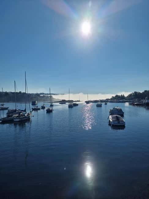 Oslo: Malmøya Island Guided Hike with Waffle and Drink - A Closer Look at the Malmøya Hike Experience