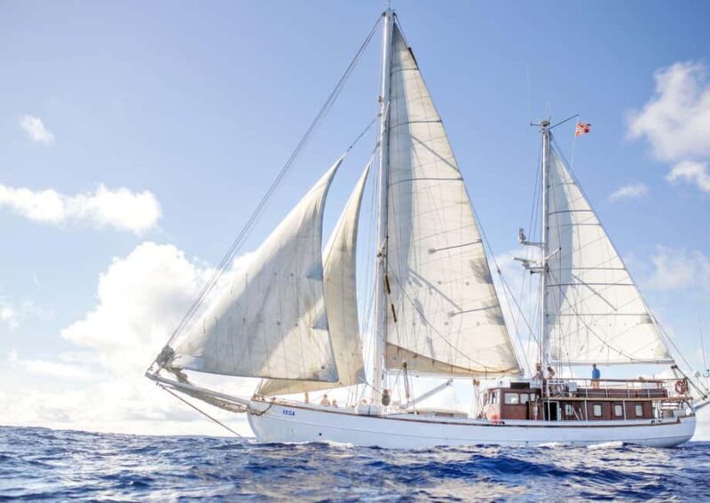 Oslo: Oslofjord Fjord-Style Dinner Cruise - The Sum Up