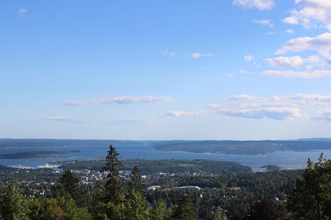 Oslo Panorama Tour with Holmenkollen Ski Jump and Vigeland Park - A Deep Dive into the Oslo Panorama Tour