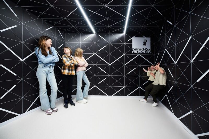 Oslo: Paradox Museum Entry Ticket - Accessibility and Practical Details