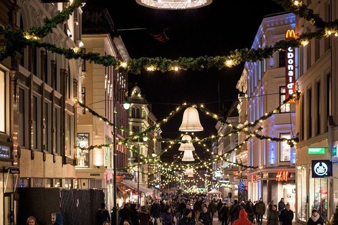 Oslo: Private VIP City Tour by Luxury Minivan with Driver & Guide - FAQ