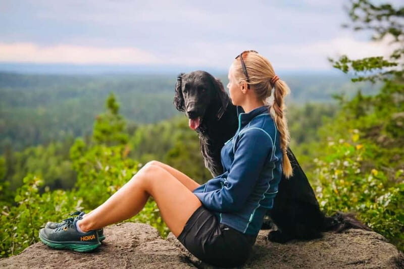Oslo: Scenic Forest Hike with Dog & Local Guide - Key Points