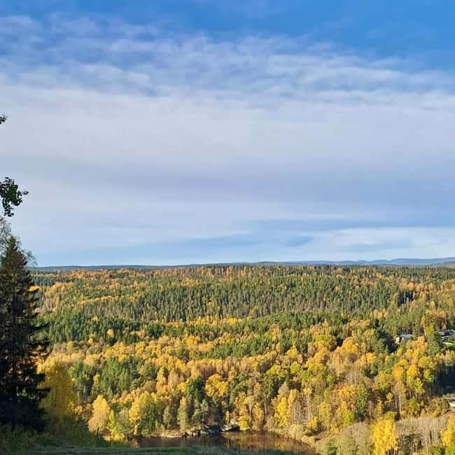 Oslo: Scenic Forest Hike with Dog & Local Guide - An Honest Look at Oslo’s Forest Hike