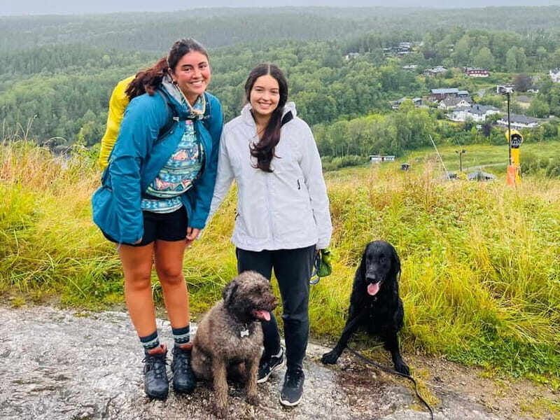 Oslo: Scenic Forest Hike with Dog & Local Guide - The Sum Up: Is This Tour Right for You?