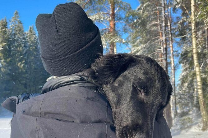 Oslo: Scenic Forest Hike with Dog & Local Guide - A Deep Dive into the Oslo Forest Hike Experience