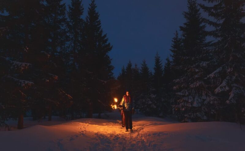 Oslo: Snowy Forest Torchlight Walk with Campfire - Key Points
