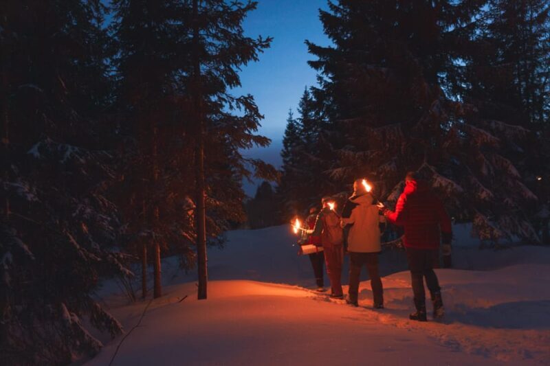 Oslo: Snowy Forest Torchlight Walk with Campfire - A Detailed Look at What to Expect