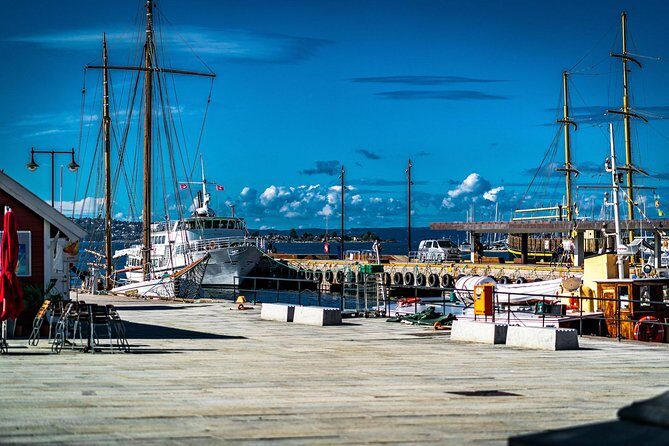 Oslo & Vigeland Park Private Walking Tour - FAQ