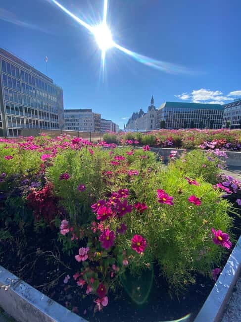 Oslo Walk:City Highlights & Hidden Gems_Private Walking Tour - Final Thoughts