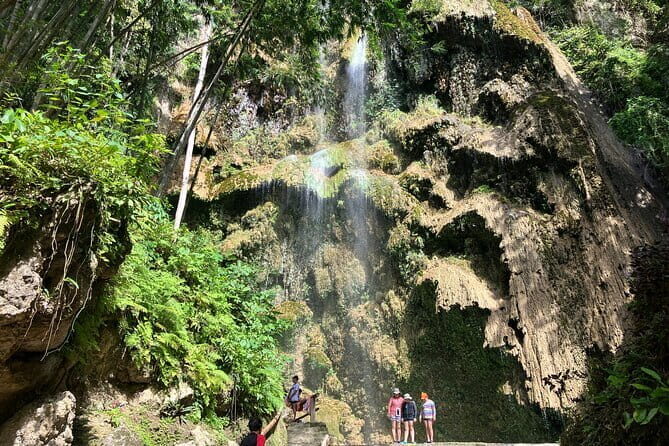 Oslob Whale Shark & Tumalog Waterfalls & Sumilon Sandbar - A Deep Dive into the Oslob Whale Shark & Sumilon Tour