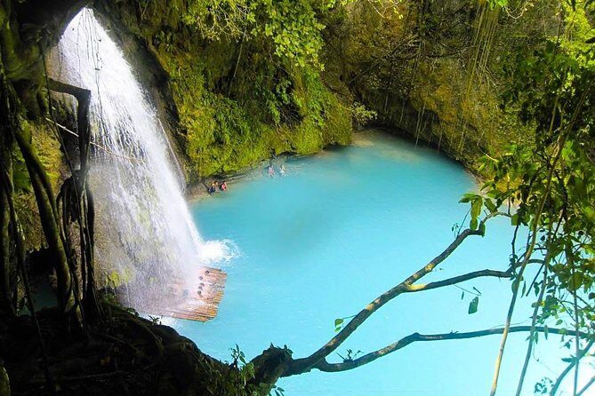 Oslob Whale Shark watching + Canyoneering Adventure Tour - The Itinerary Breakdown: What You Can Expect