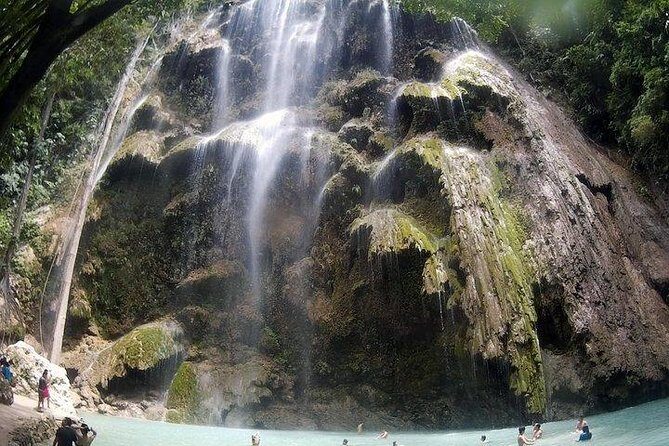 Oslob Whale Shark watching + Canyoneering Adventure Tour - Practical Details: Transport, Timing, and What to Wear