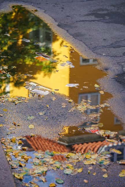 Østerbro: Evening Treats & Insights Walking Tour - Key Points