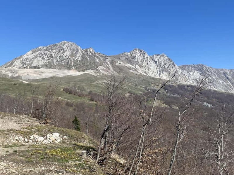 Ostrovica Mountain Hiking Adventure - Who Should Consider This Tour?