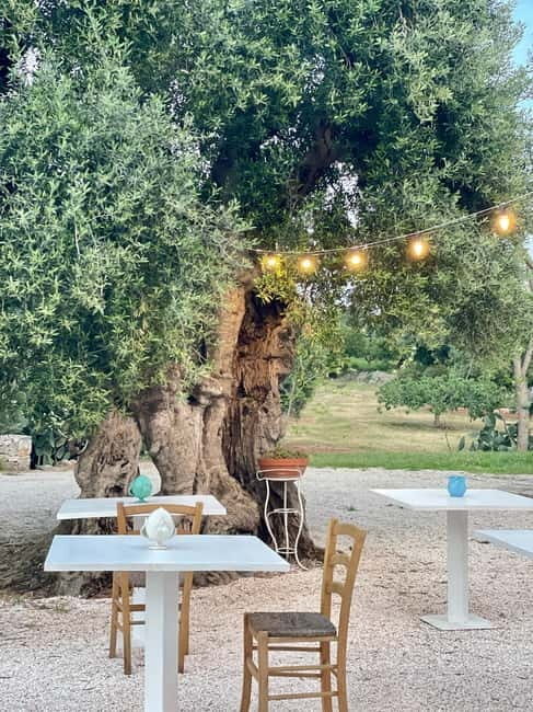 Ostuni: Farm tour among thousand-year-old olive trees with oil tasting - Is This Tour Worth It?