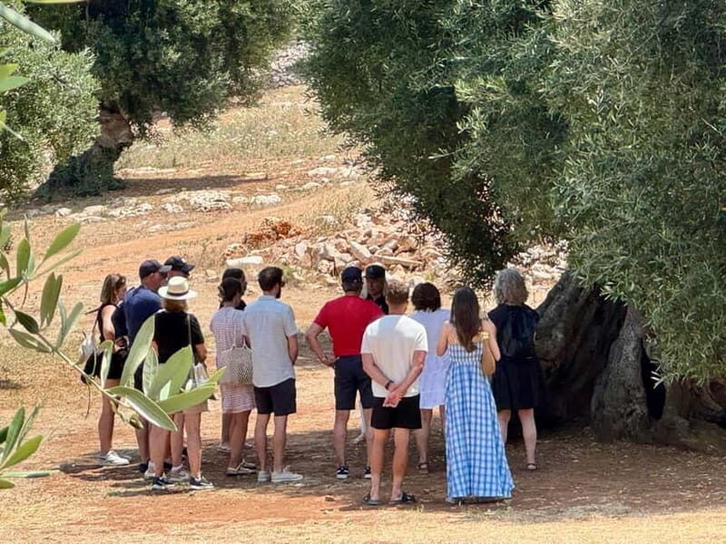 Ostuni: Farm tour among thousand-year-old olive trees with oil tasting - FAQ
