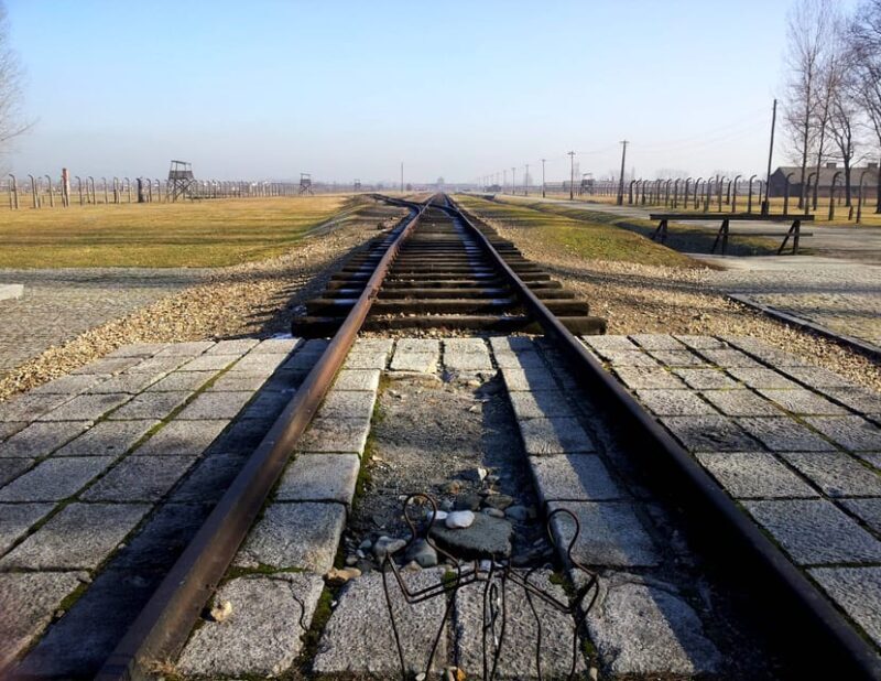 Oswiecim: Auschwitz-Birkenau Skip-the-Line Entry Tickets - Key Points
