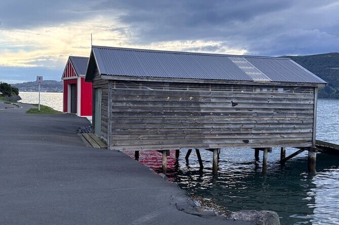 Otago Harbour by Bike: A Self Guided Tour - Navigating Practicalities