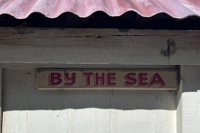 Otago Harbour by Bike: A Self Guided Tour - Why This Tour Offers Real Value