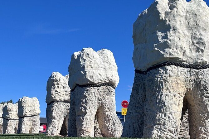 Otago Harbour by Bike: A Self Guided Tour - Final Thoughts