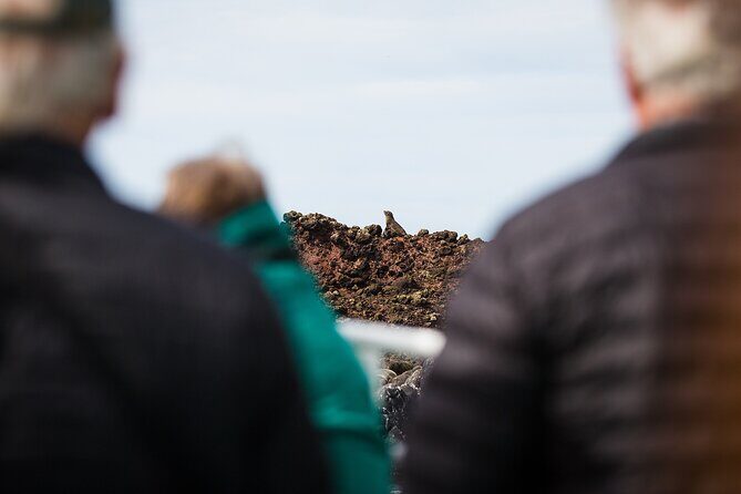 Otago Harbour Wildlife Cruise (Dunedin Shore Excursion) - Frequently Asked Questions