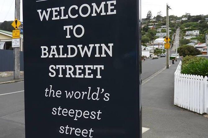 Otago Peninsula Scenery and Dunedin City Highlights Tour - Detailed Breakdown of the Itinerary