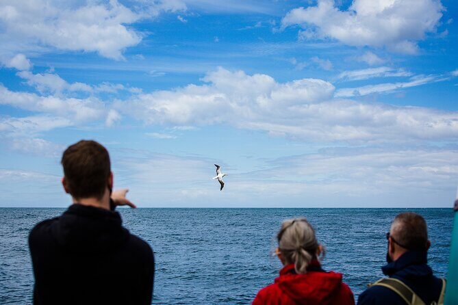 Otago Peninsula Wildlife Tour & Cruise - Why This Tour Works Well