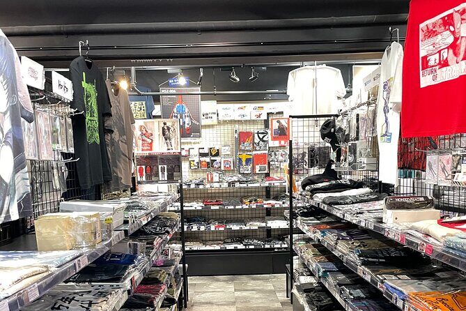 Otaku Tour for Anime & Manga Lovers (Group Tour) - Who Should Consider This Tour?