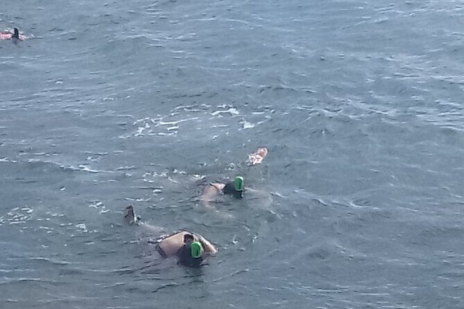 Other side of heaven Eco friendly snorkeling adventure - What Reviewers Say