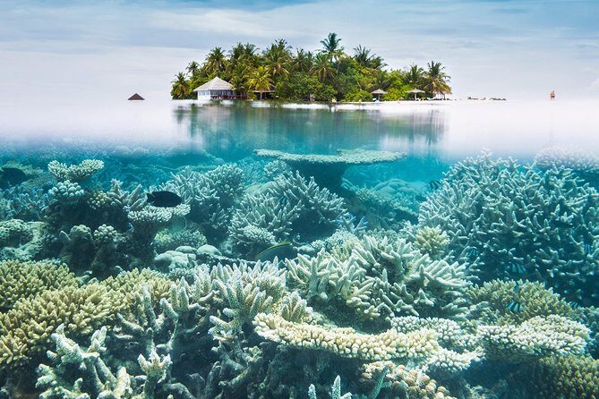 Other side of heaven Eco friendly snorkeling adventure - Overall Impression and Who It’s Best For