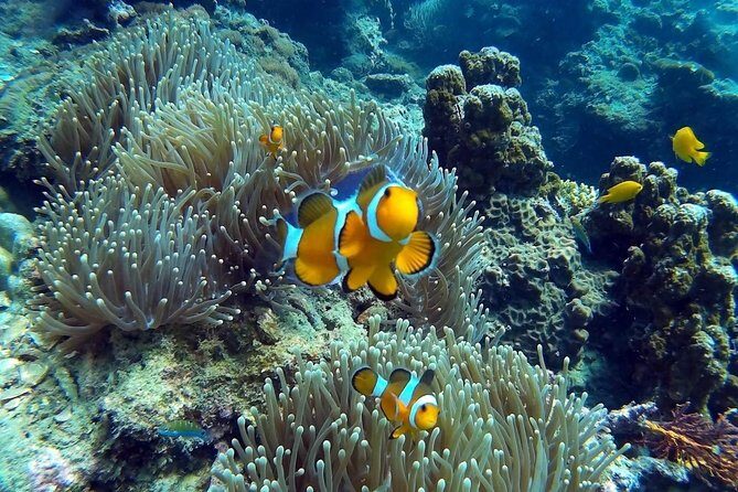Other side of heaven Eco friendly snorkeling adventure - Frequently Asked Questions