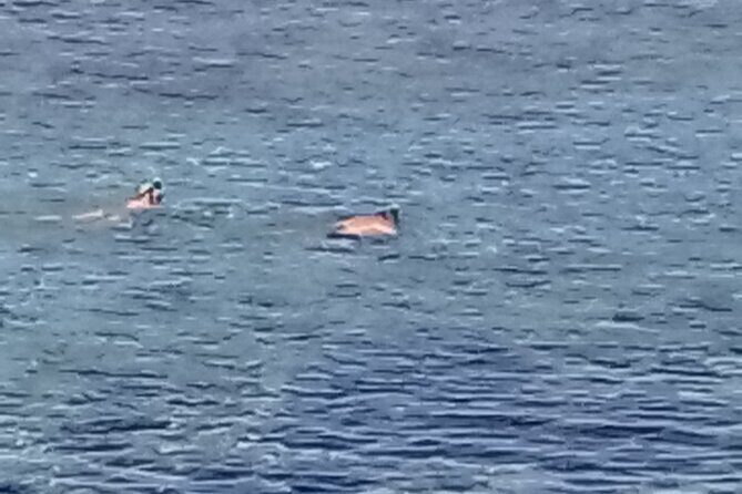 Other side of heaven Eco friendly snorkeling adventure - Final Thoughts