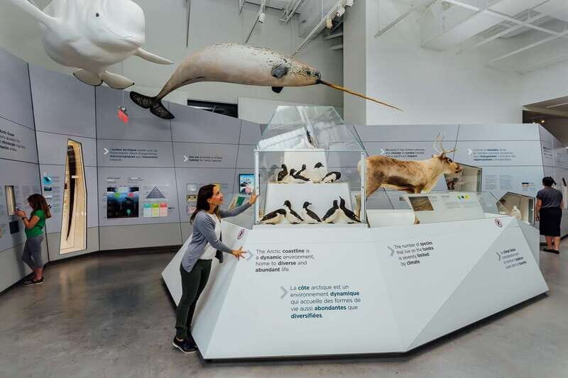 Ottawa: Canadian Museum of Nature Admission - Key Points