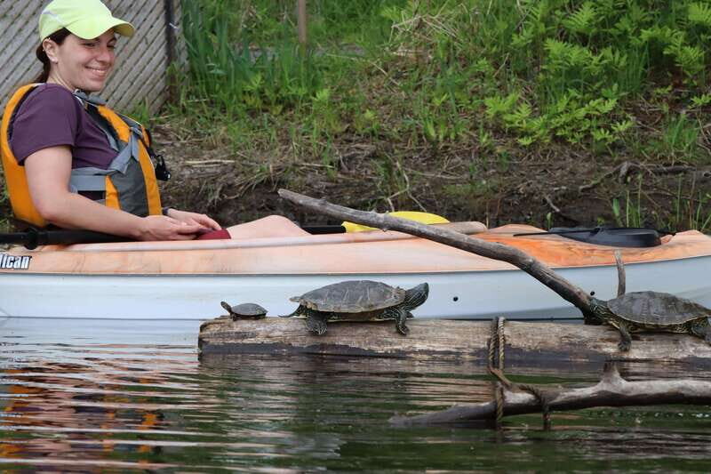 Ottawa: Ecological Reserve Kayak Tour with Turtle Sightings - Final Thoughts: Is It Worth It?
