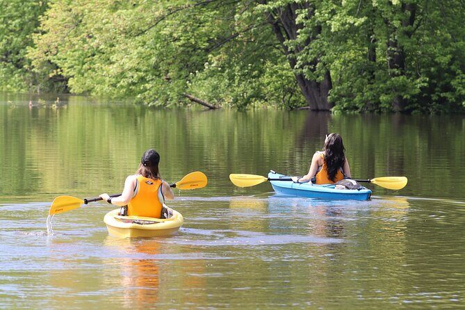 Ottawa Ecological Reserve Kayak Tour with TURTLE Sightings - Introduction