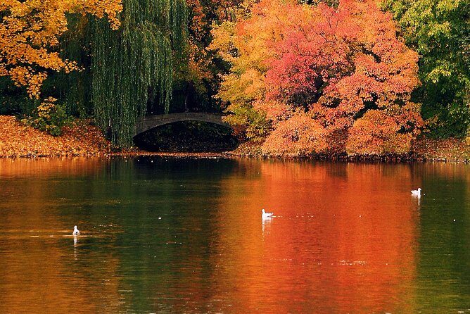 Ottawa Hop-On Hop-Off Sightseeing Tour - Frequently Asked Questions