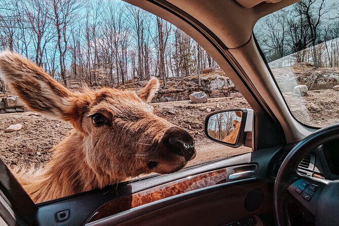 Ottawa Parc Omega Private Tour with Hotel Transfer - Key Points