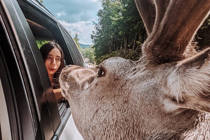 Ottawa Parc Omega Private Tour with Hotel Transfer - Frequently Asked Questions