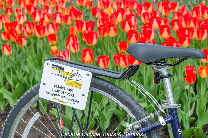 Ottawa Spring Tulip Festival Bike Tour - FAQ