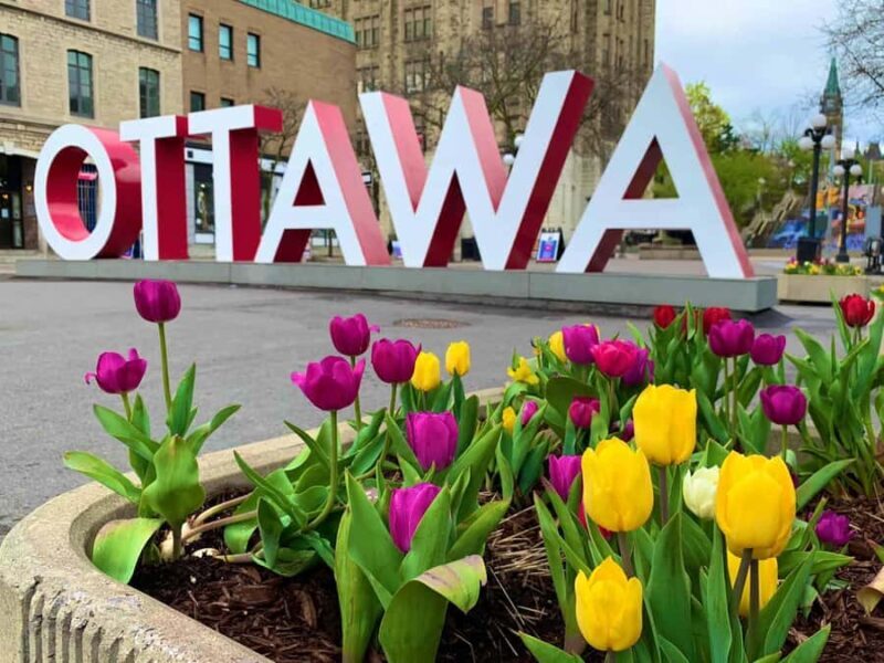 Ottawa: Tulip Festival and ByWard Market Tour - The Practicalities and What to Expect