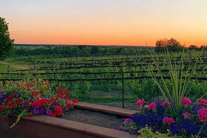 Ottawa's Wine and Cider Tour - Who Will Love This Tour?