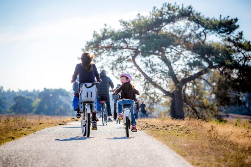 Otterlo: De Hoge Veluwe National Park Entry Ticket - Pricing and Value