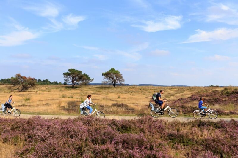 Otterlo: De Hoge Veluwe National Park Entry Ticket - The Sum Up