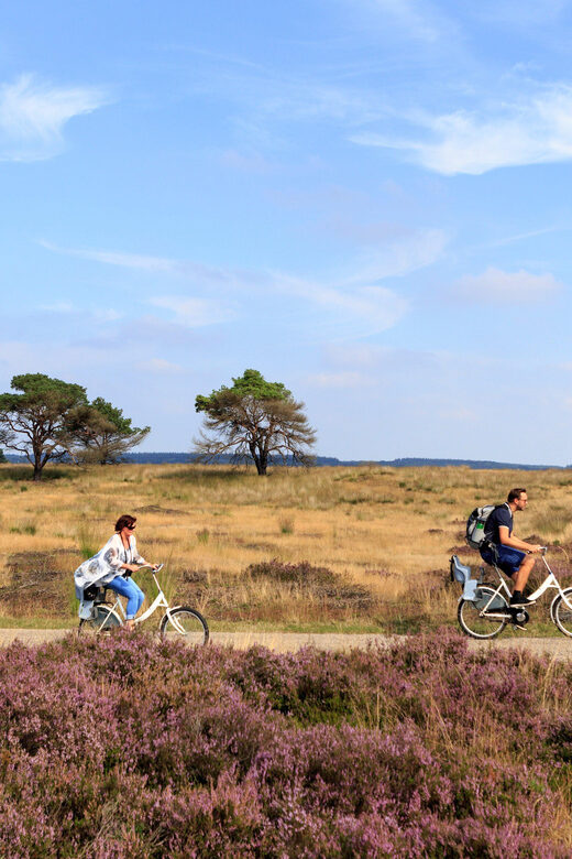 Otterlo: De Hoge Veluwe National Park Entry Ticket - FAQs